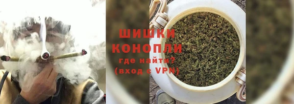Альфа ПВП Новозыбков