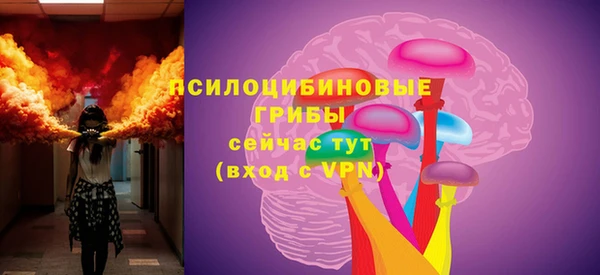 Альфа ПВП Новозыбков