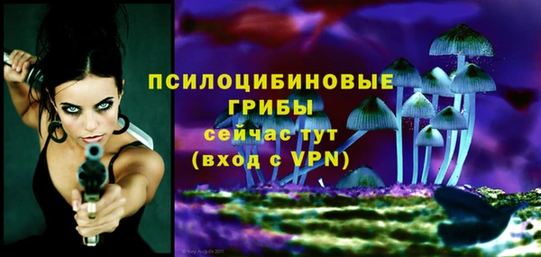 Альфа ПВП Новозыбков
