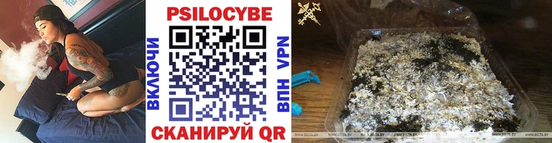 Купить где  Кузнецк  Псилоцибиновые грибы мицелий 